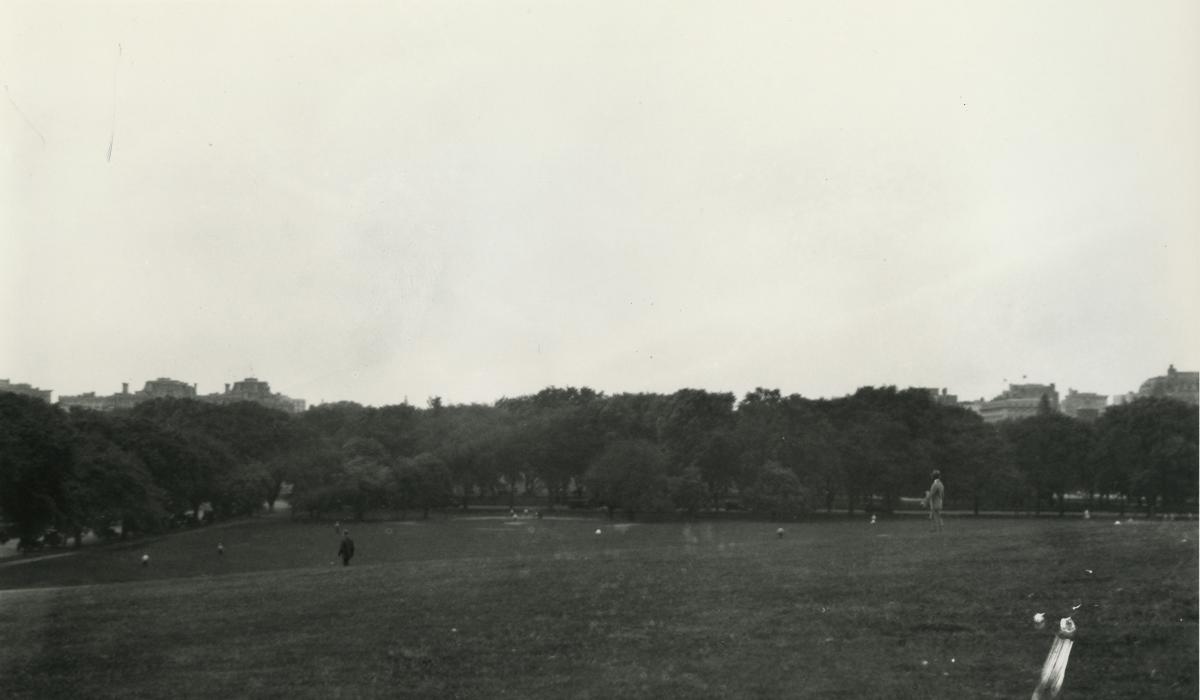 Washington Monument grounds looking north