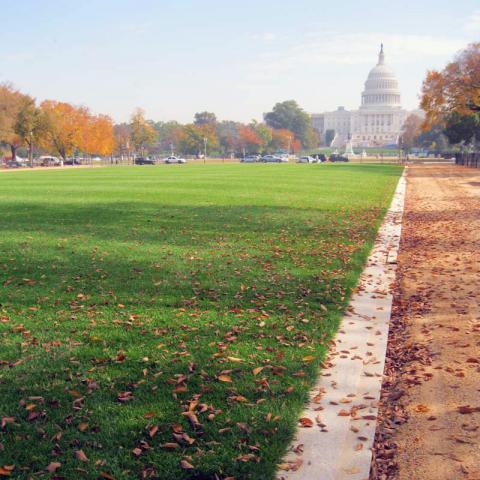 Mall lawn panel turf and soil reconstruction